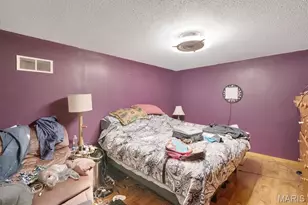 401 Bunker Hill Dr, De Soto, MO 63020 - Photo 13