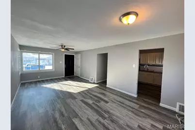 10232 Tappan Drive, Saint Louis, MO 63137 - Photo 3