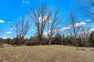 8050 Local Hillsboro Rd, Cedar Hill, MO 63016 - Photo 37