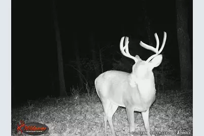 0 Hwy 42, New Melle, MO 65013 - Photo 5