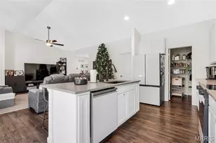 38 Brush Creek Drive, Pacific, MO 63069 - Photo 17