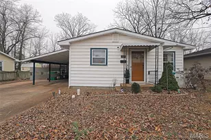 217 N Alexander St, Farmington, MO 63640 - Photo 25