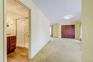 15137 Chamisal Dr, Chesterfield, MO 63017 - Photo 47