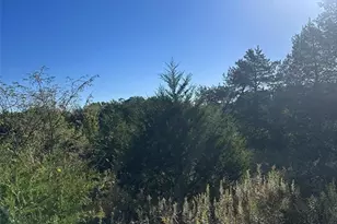 7653 Zimmerman Rd, Robertsville, MO 63072 - Photo 75