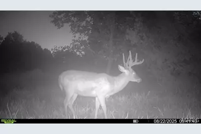 23235 Dalton Road, Warrenton, MO 63383 - Photo 17