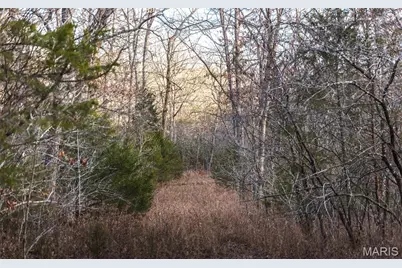 2593 Highway 50, Linn, MO 65051 - Photo 9