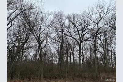 Lot36 Blockf Red Bud Drive, Catawissa, MO 63015 - Photo 5