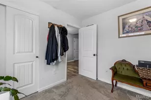 313 Andy Habsieger St, Festus, MO 63028 - Photo 25