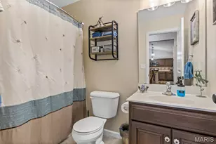 313 Andy Habsieger St, Festus, MO 63028 - Photo 27