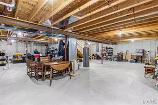 313 Andy Habsieger St, Festus, MO 63028 - Photo 39