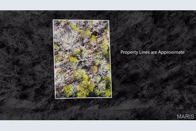 10314 Lake Hill Trail, Hillsboro, MO 63050 - Photo 1