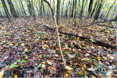 000 County Road 20A_170+/-, Bellerive, MO 63623 - Photo 35