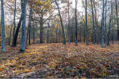 000 County Road 20A_170+/-, Bellerive, MO 63623 - Photo 37
