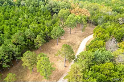 0 County Road 20A_245+/-, Bellerive, MO 63623 - Photo 49