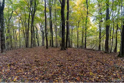 0 County Road 20A_245+/-, Bellerive, MO 63623 - Photo 75