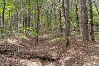 0 County Road 20A_245+/-, Bellerive, MO 63623 - Photo 69