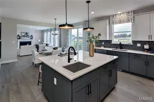 431 Oak Barrel Drive, O'Fallon, MO 63385 - Photo 19