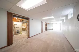 1003 Fernwood Trail Ct, Florissant, MO 63031 - Photo 41