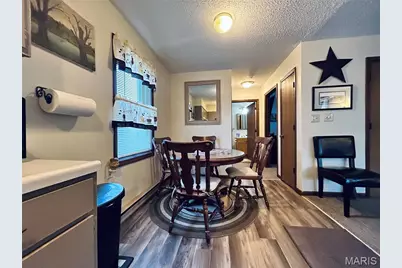 207 S Main Street, Louisiana, MO 63353 - Photo 9