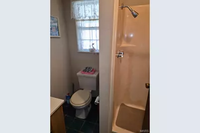 308 N McCune Street, Pilot Knob, MO 63663 - Photo 13