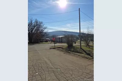 308 N McCune Street, Pilot Knob, MO 63663 - Photo 3