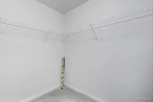 17625 Rockwood Arbor Dr, Eureka, MO 63025 - Photo 65