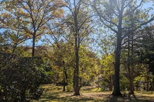 4450 Lower Zufall, De Soto, MO 63020 - Photo 25
