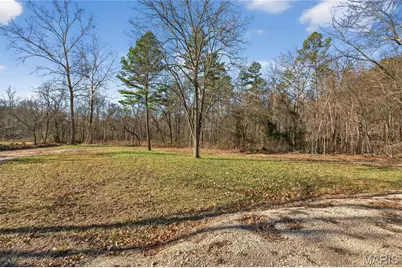 347 Bristol Cemetery Road, Fremont, MO 63941 - Photo 5