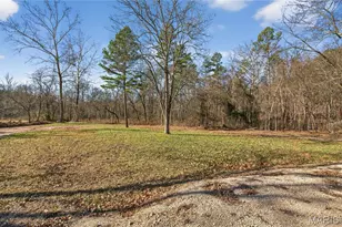 347 Bristol Cemetery Rd, Fremont, MO 63941 - Photo 5