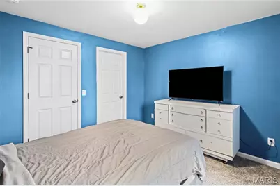 1810 Valley View Circle, Festus, MO 63028 - Photo 41