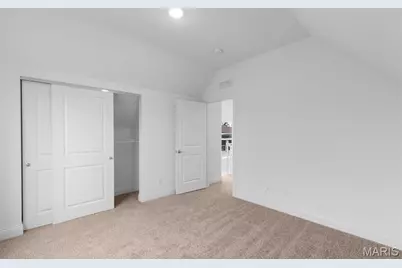 3910 Walsh Street, Saint Louis, MO 63116 - Photo 21