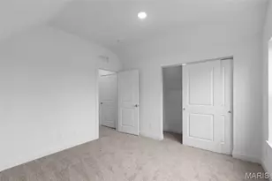 3910 Walsh St, Saint Louis, MO 63116 - Photo 17