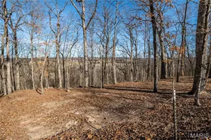 2131 Oakshire Farm, Unincorporated, MO 63084 - Photo 53