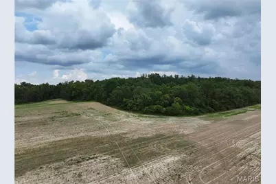 Tract 3, Off County Road 259, Advance, MO 63730 - Photo 3