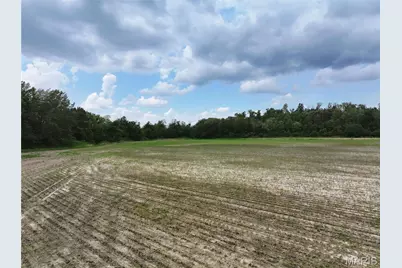 Tract 3, Off County Road 259, Advance, MO 63730 - Photo 5