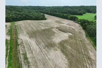 Tract 3, Off County Road 259, Advance, MO 63730 - Photo 9