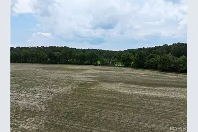 Tract 3, Off County Road 259, Advance, MO 63730 - Photo 11