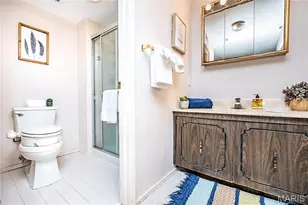 539 Coeur De Royale Dr, Creve Coeur, MO 63141 - Photo 25