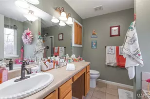 1028 Madison 278, Fredericktown, MO 63645 - Photo 17