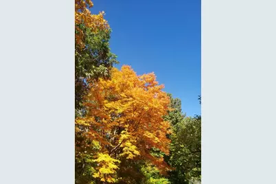 6252 N Lakeshore Drive, Byrnes Mill, MO 63051 - Photo 47