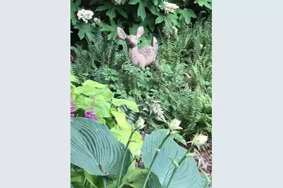 9515 Country Club Green, Saint Louis, MO 63127 - Photo 77