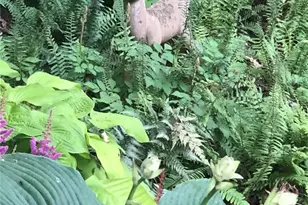 9515 Country Club Green, Saint Louis, MO 63127 - Photo 77