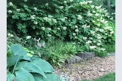 9515 Country Club Green, Saint Louis, MO 63127 - Photo 75