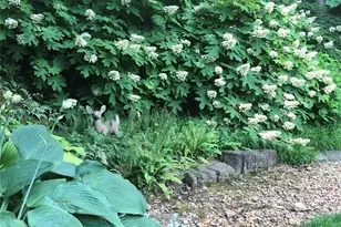 9515 Country Club Green, Saint Louis, MO 63127 - Photo 75