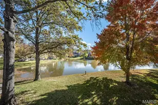 14924 Manor Lake Dr, Chesterfield, MO 63017 - Photo 57