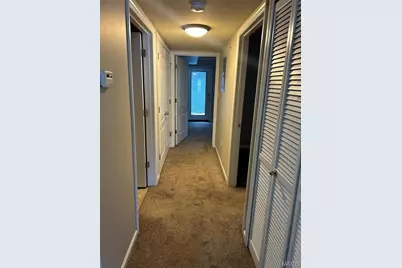 3111 Capri Way, Saint Peters, MO 63304 - Photo 19