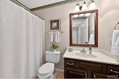 704 Richard Avenue, Festus, MO 63028 - Photo 21
