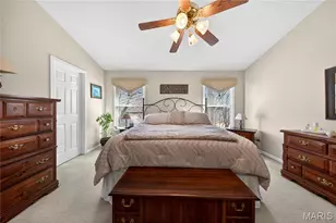 704 Richard Ave, Festus, MO 63028 - Photo 17