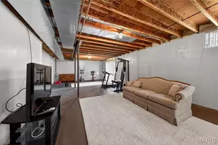 704 Richard Ave, Festus, MO 63028 - Photo 23