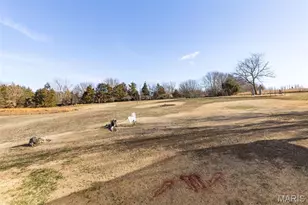 2950 Stone House Rd, De Soto, MO 63020 - Photo 9